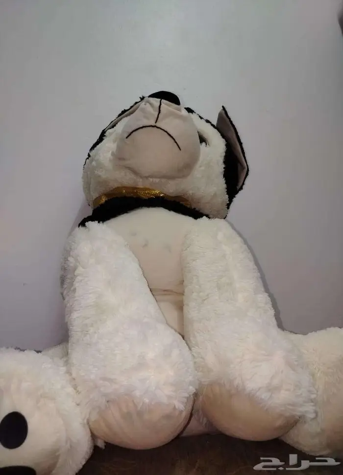 دبدوب حجم كبير جديد وقمة النظافة للبيع 2