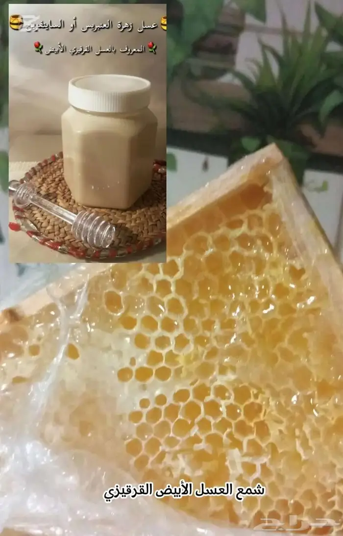 عسل جبلي_من جبال ساري شيلك 2