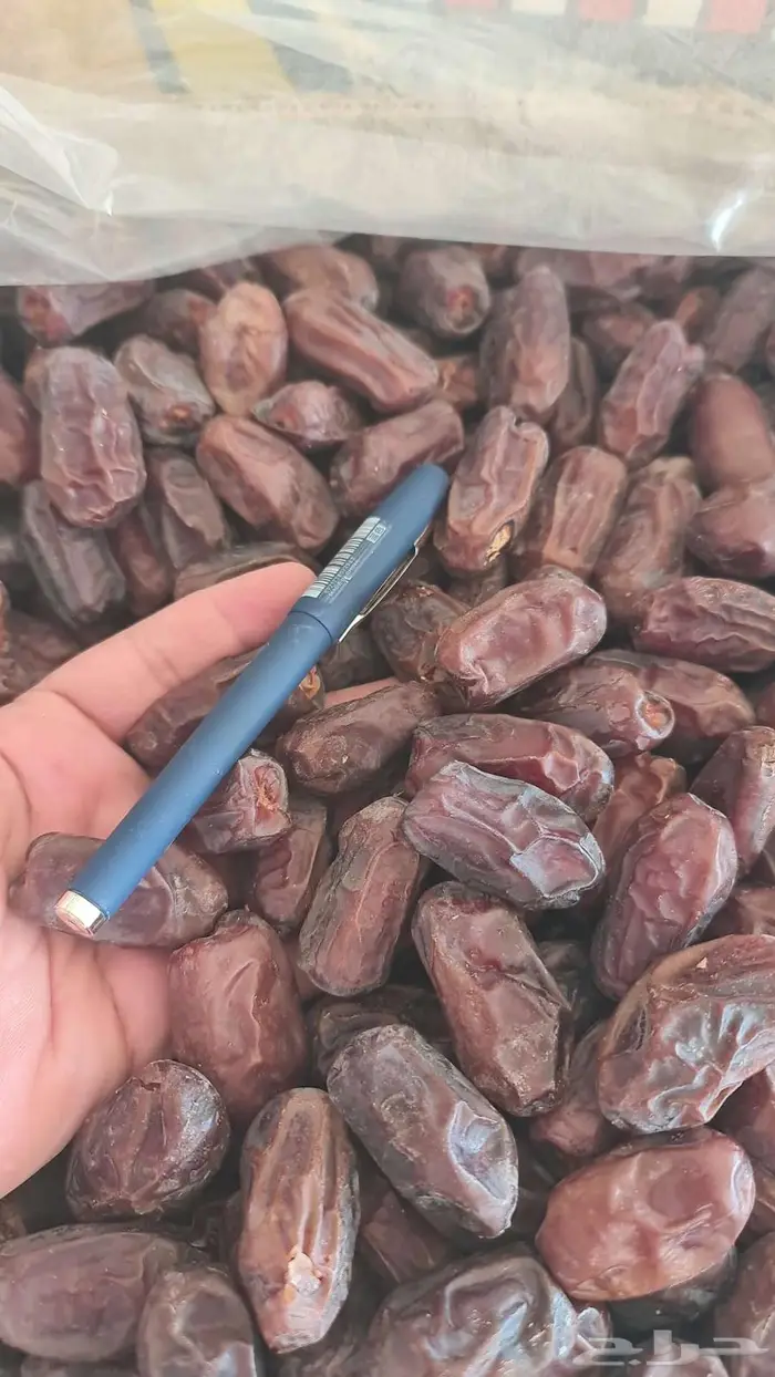 تمر خضري للبيع 1