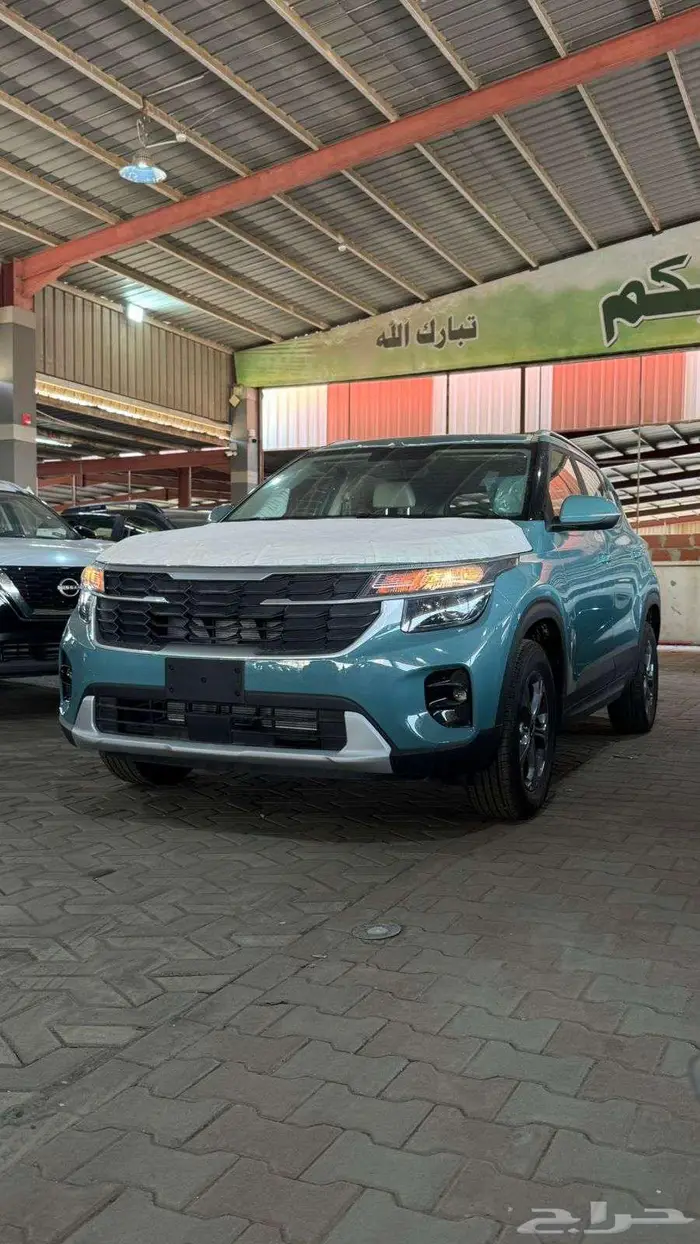 سيلتوس 2025 9