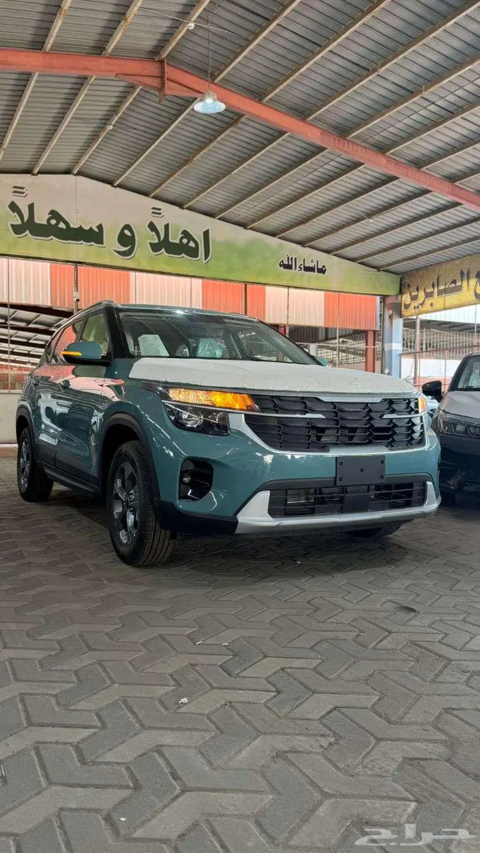 سيلتوس 2025 11