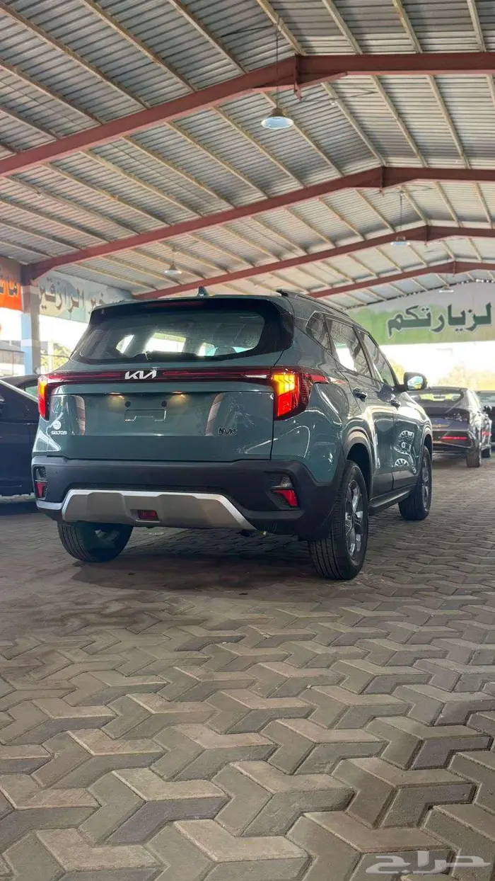 سيلتوس 2025 3