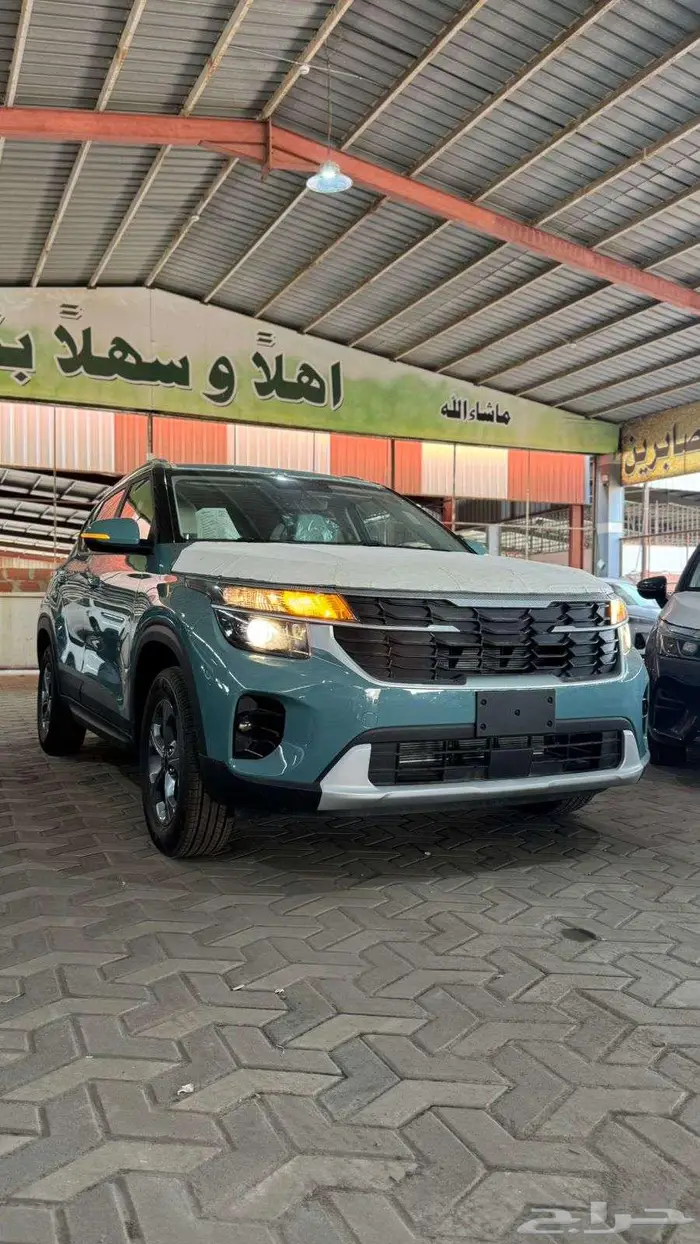 سيلتوس 2025 0