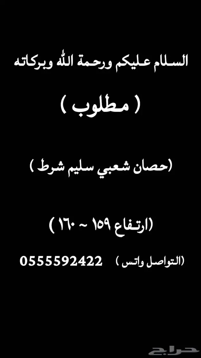 مطلوب حصان 0