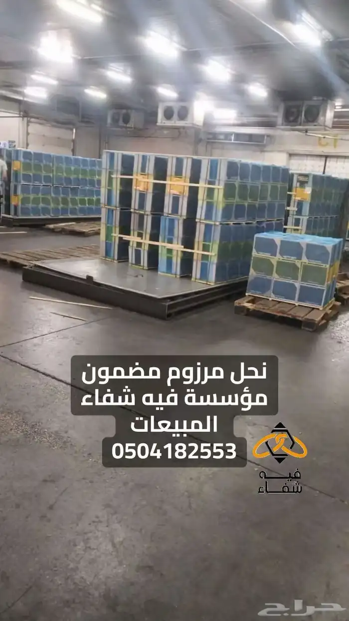 نحل مصري مرزوم 5