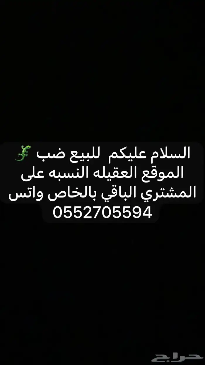 للبيع ضب 0