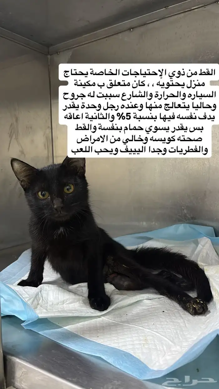 الدمام حي المنار 0