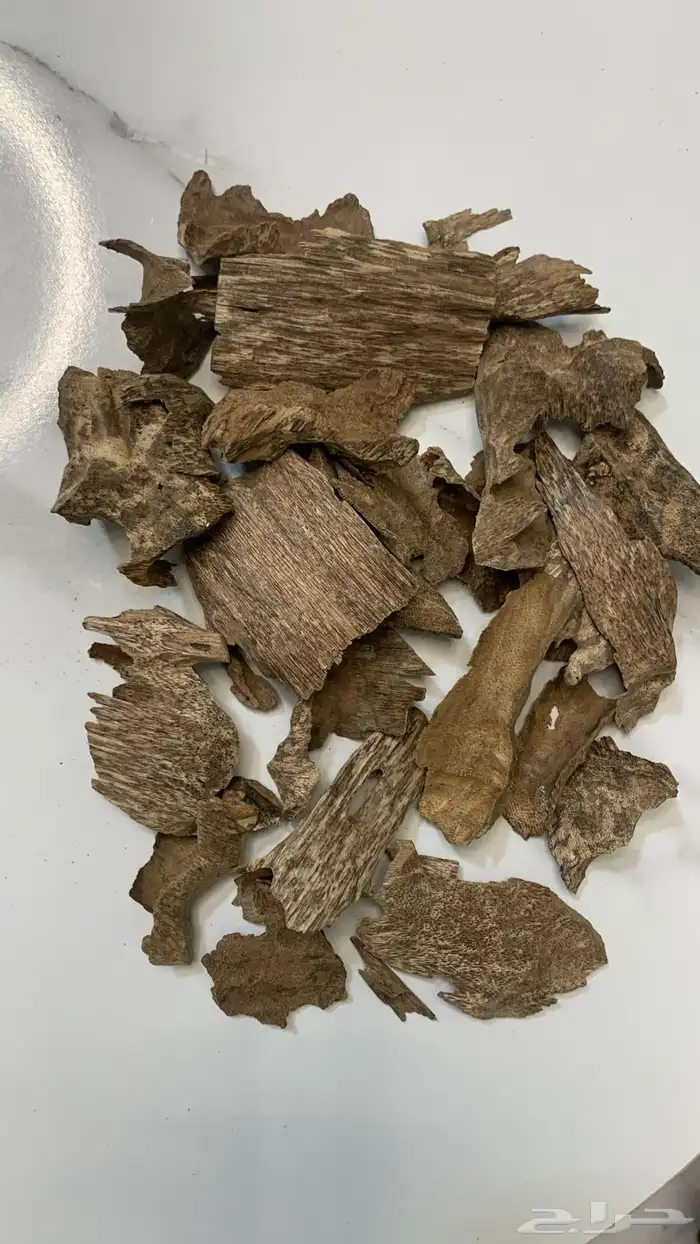 زوايا فيتنام طبيعي سوبر 1