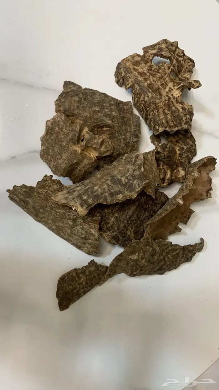 عود جار فيتنام طبيعي 0
