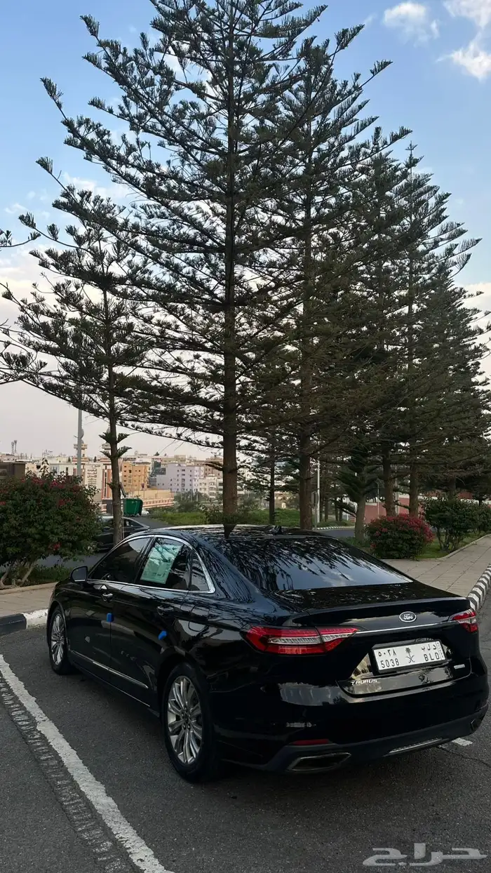 تورس 2021 1