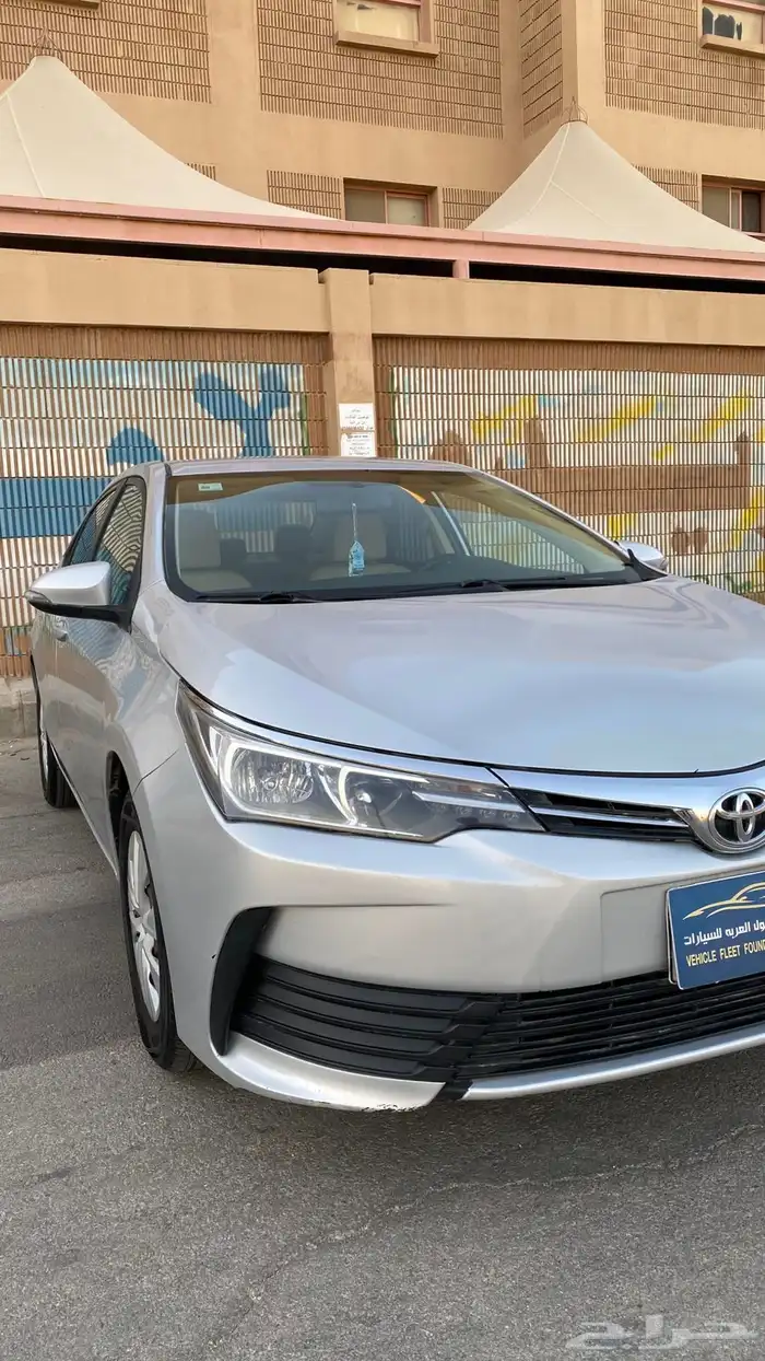 كوريلا 2019 1