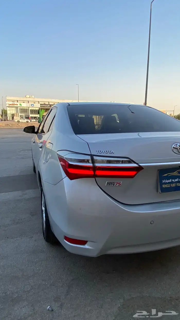 كوريلا 2019 4