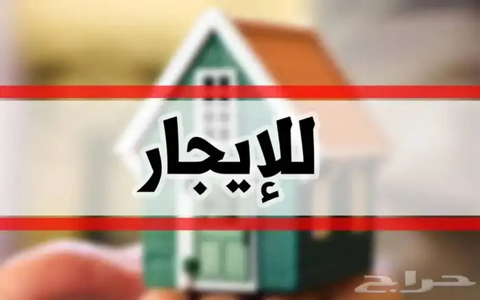 احتاج شقة استديو او غرفه مع مطبخ 0