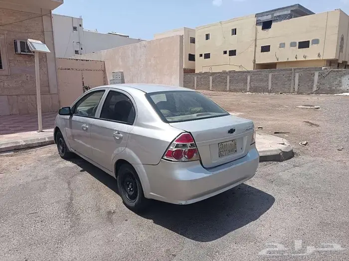 شفوليه افيو 2013 3