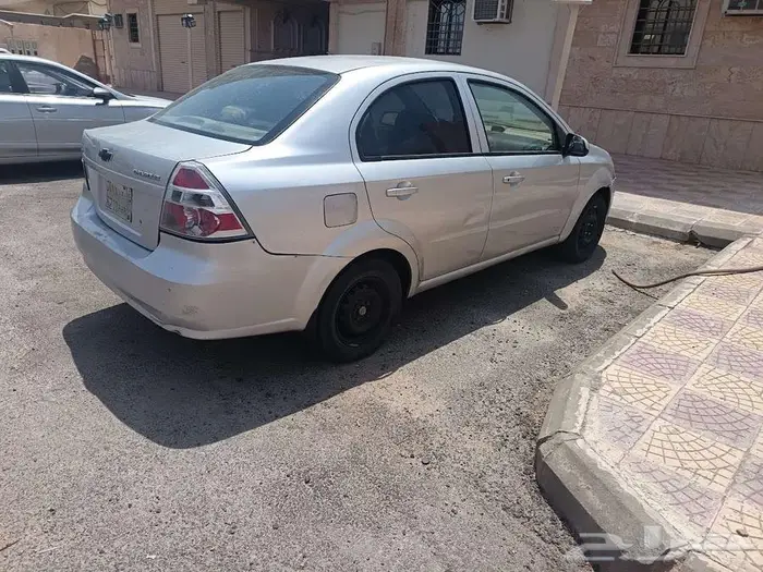 شفوليه افيو 2013 4