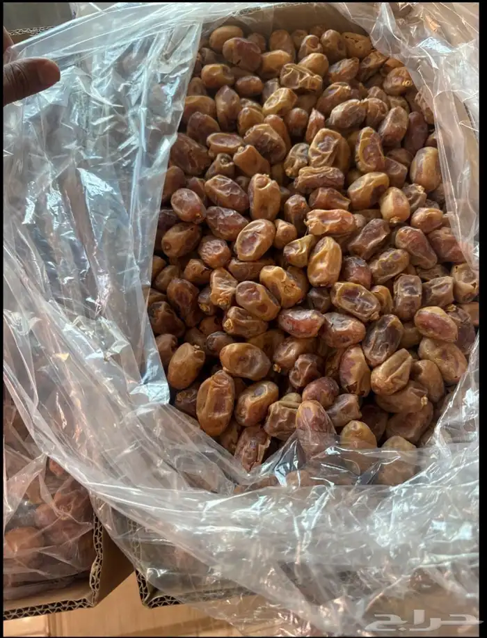 تمر خلاص خام 2