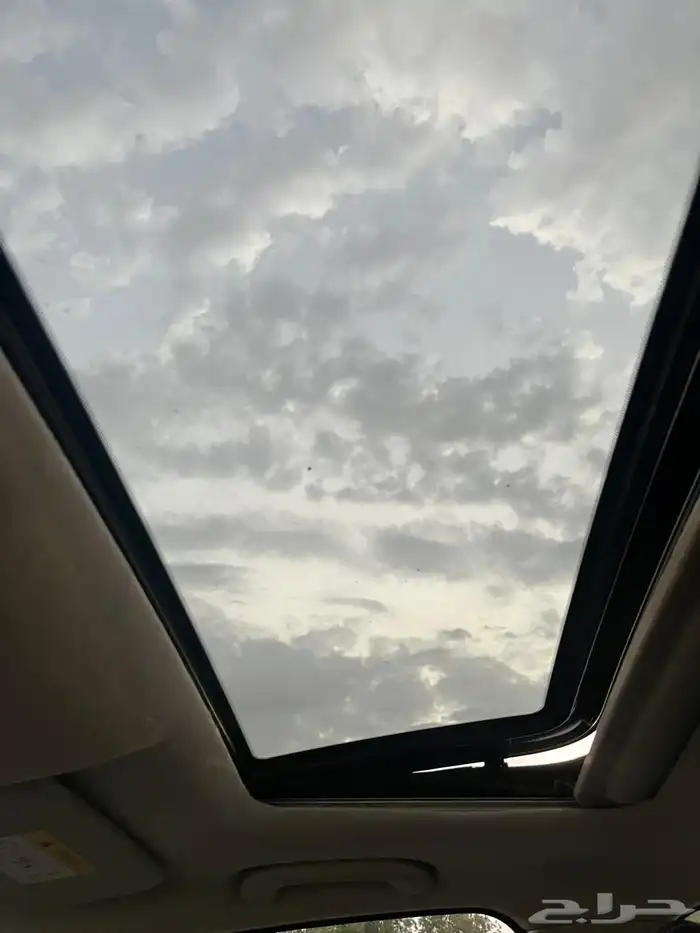 شانجان السفن 2022 13