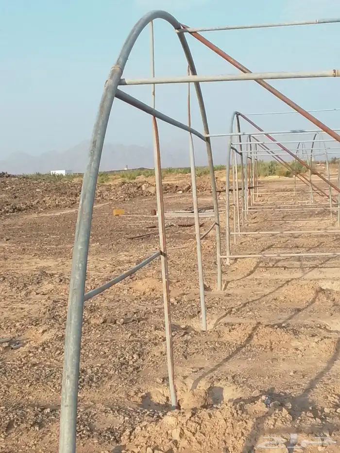 4بيوت محميه البيع مجلفن فرنسي 0
