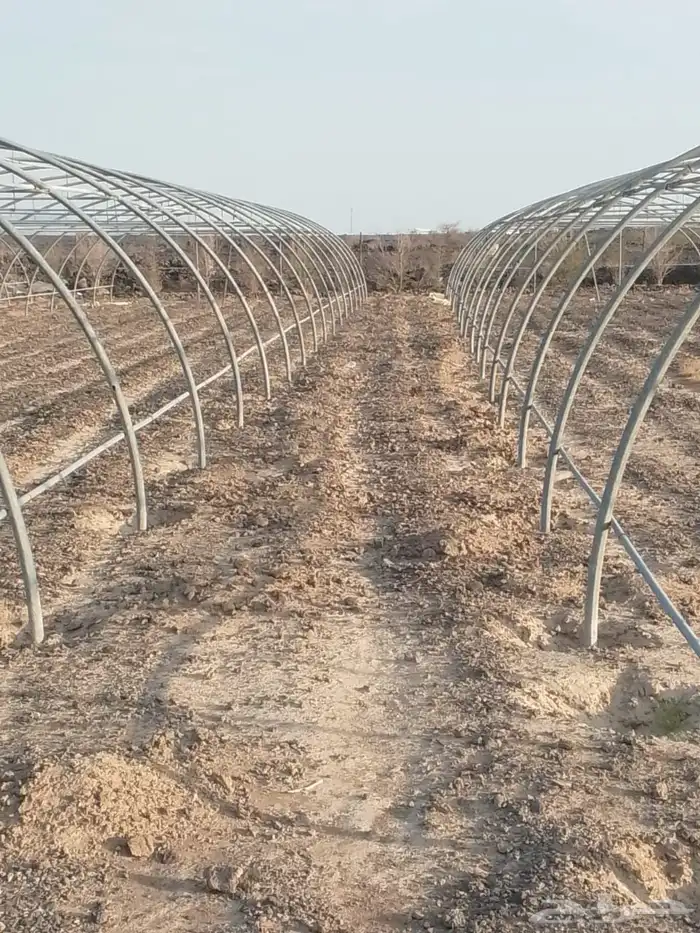 4بيوت محميه البيع مجلفن فرنسي 2