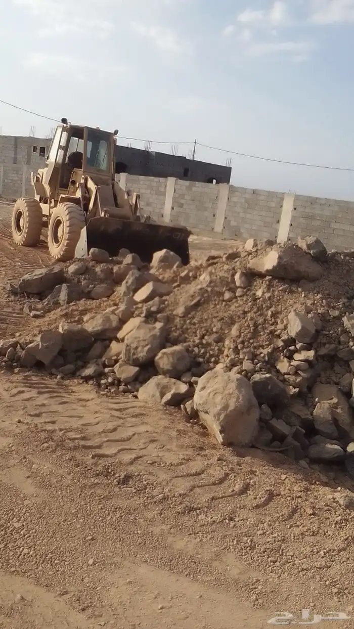 لبيع جميع ارمل الثمد خيبر الرحبه 7