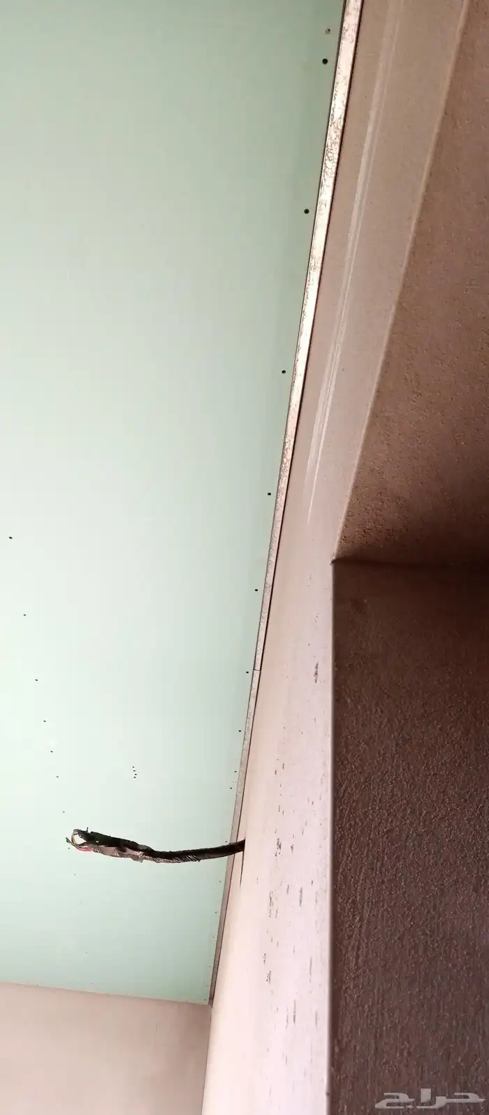 شغل جيبسم بور  جيبس آدي سمن  بور  دھان 5