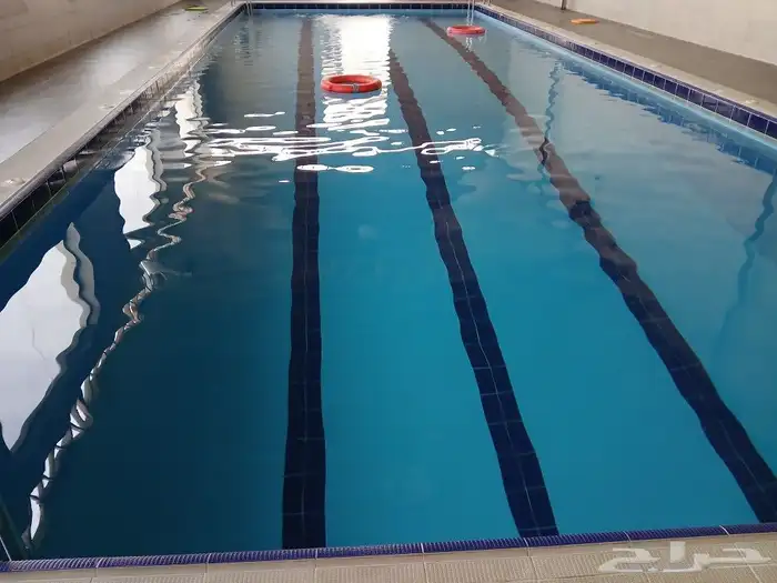 تعليم السباحه للصغار والكبار في نادى جيم المحترفون حي الهدى 2