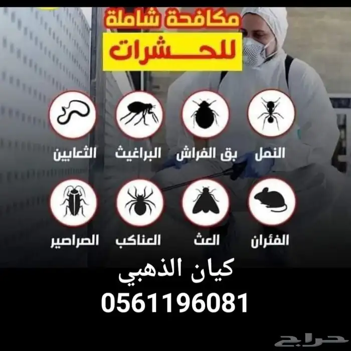 شركة مكافحة حشرات بالمدينة رش بق فراش النمل والصراصير والوزغ 0