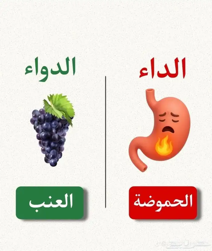 تخسيس وتنحيف 4