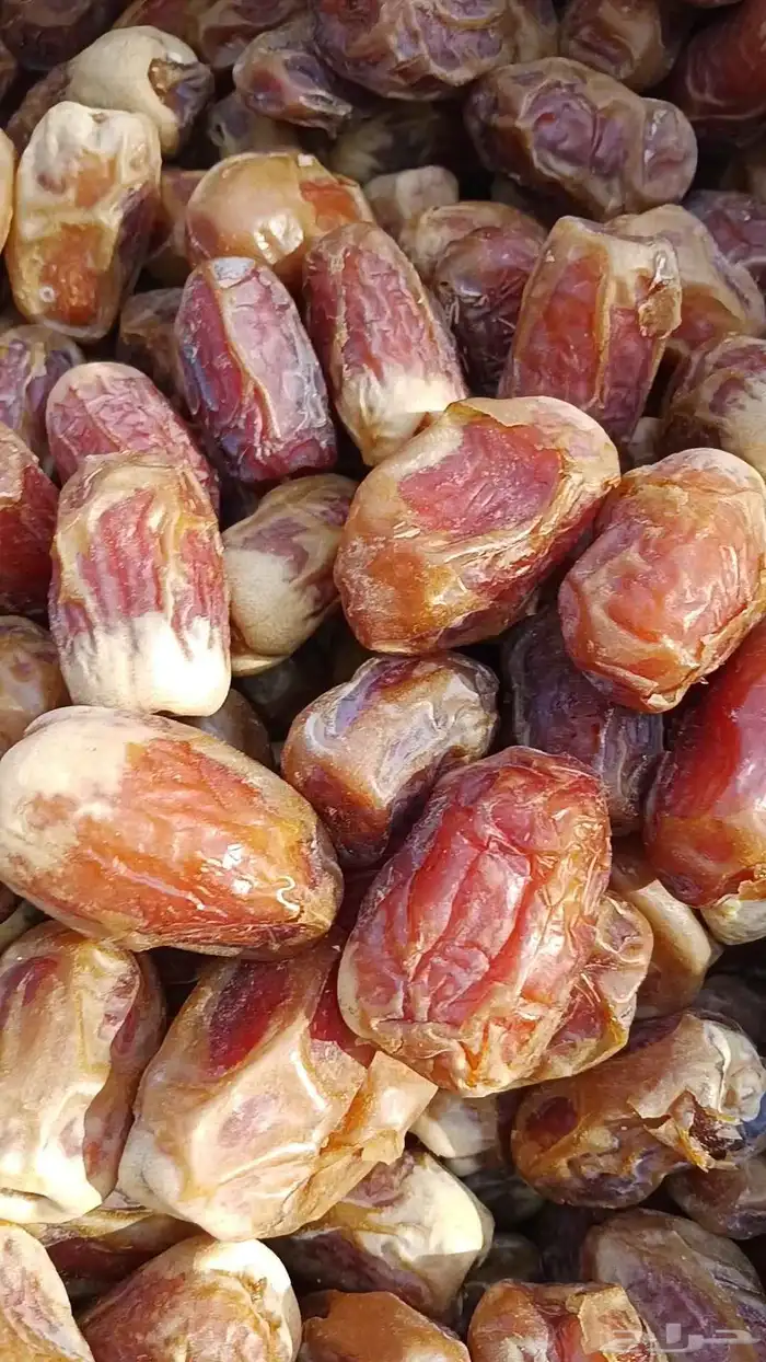 تمر صقعى رقم واحد للبيع 3
