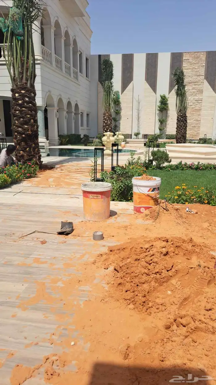 نخل زينه وشنطني ونخل عربي 0