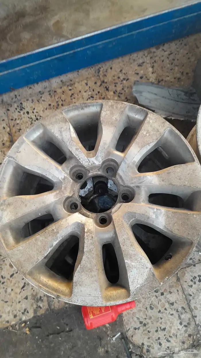 جنوط سكويا شد بلد موجود خمسه 0