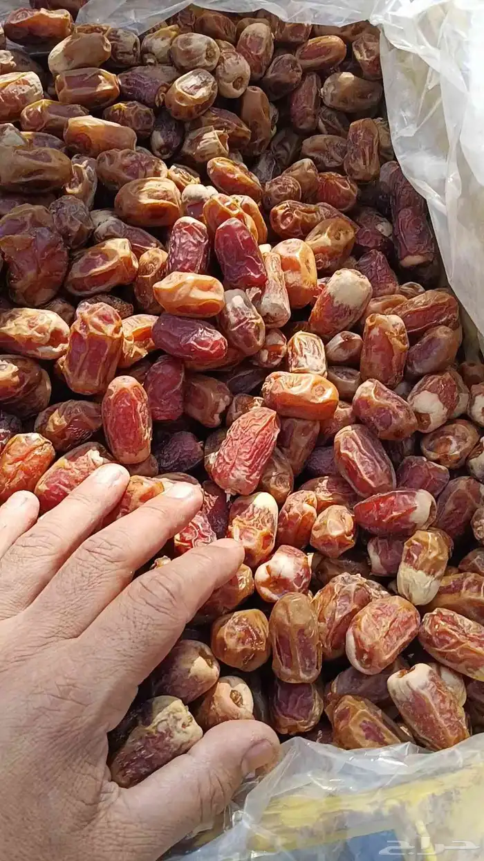 تمر صقعى رقم واحد للبيع 7