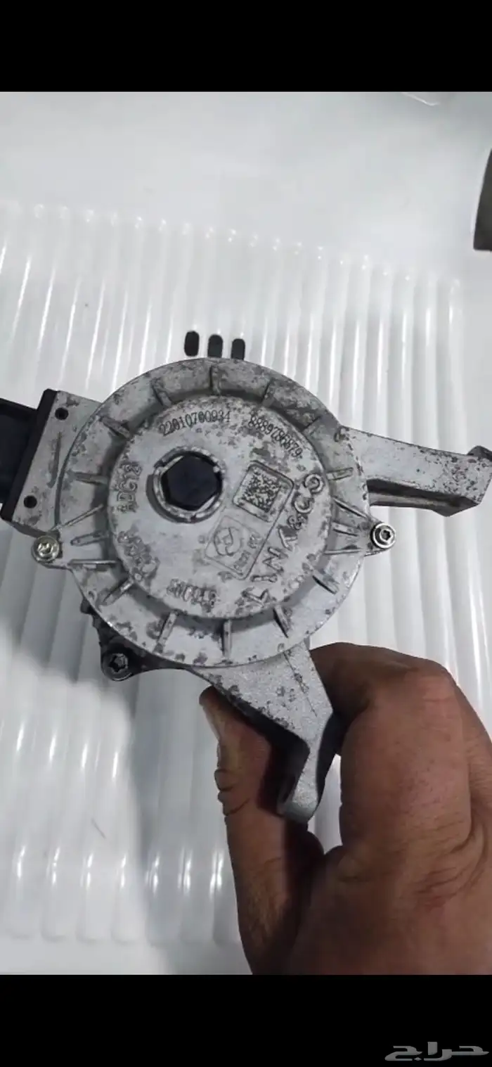 طرنمة مويه جيلي توجيلا 2022 1