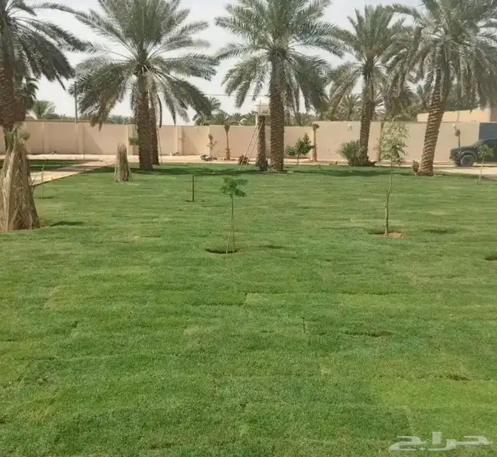 مشتل لزراعه الطبيعي 5