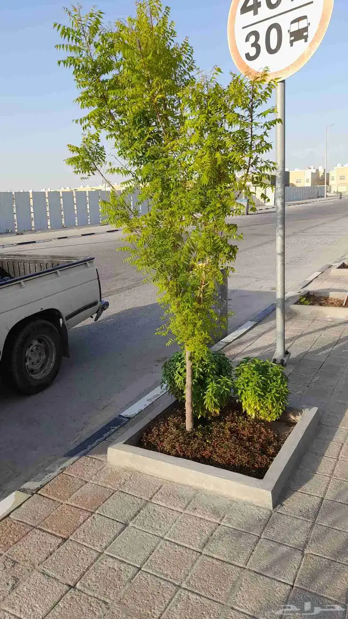 تنسيق الحدائق العامه والخاصه 7