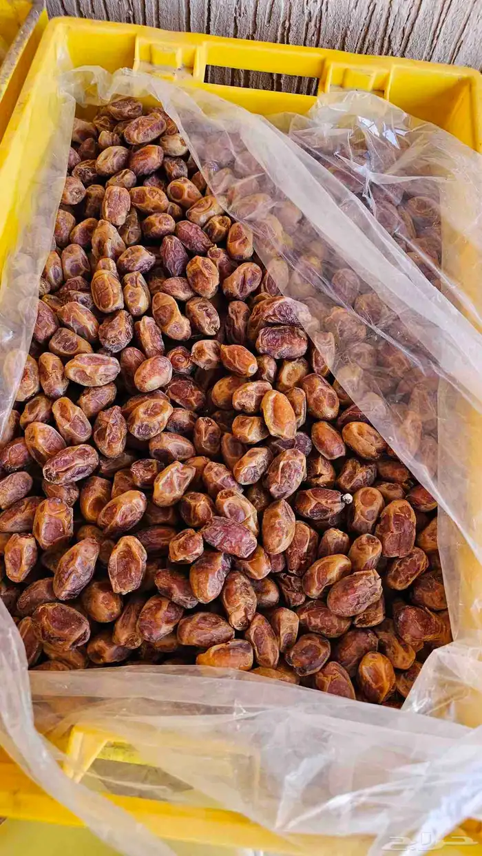 تمر خلاص أشيقر 1