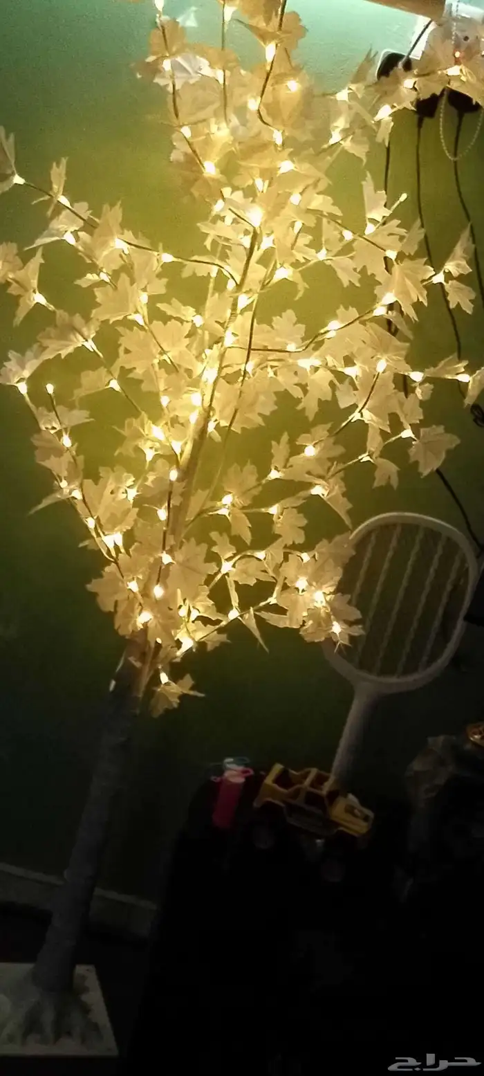 منظر المدخل اول في المجلس مع الزاوية شجرة ينور.. 2