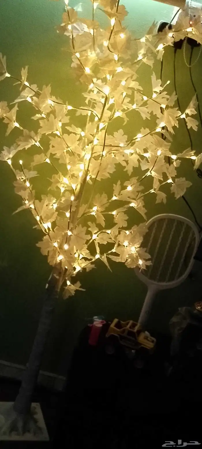 منظر المدخل اول في المجلس مع الزاوية شجرة ينور.. 1