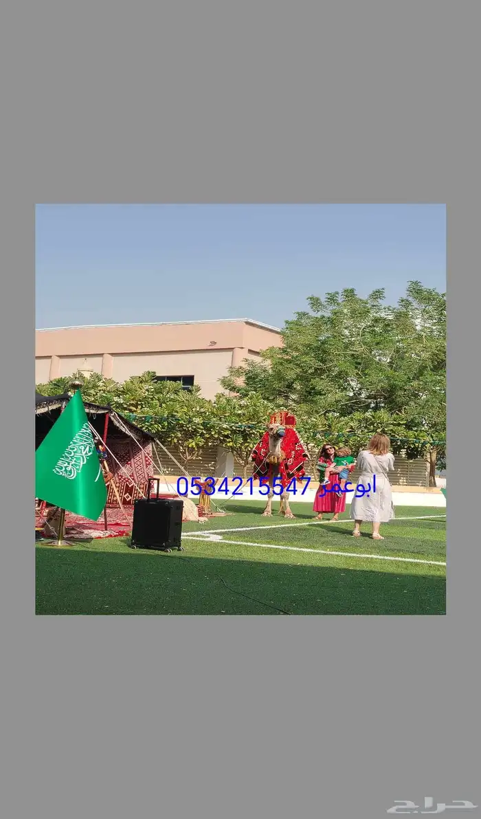 We have camel rentals  horse rentals  and falcon rentals by 0