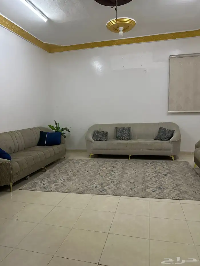 كنب اشفج خشب سيارة واي فيه تفصل 6