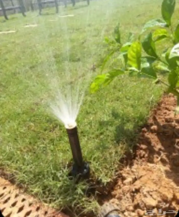 تنسيق حدائق شبكه الرأي 1