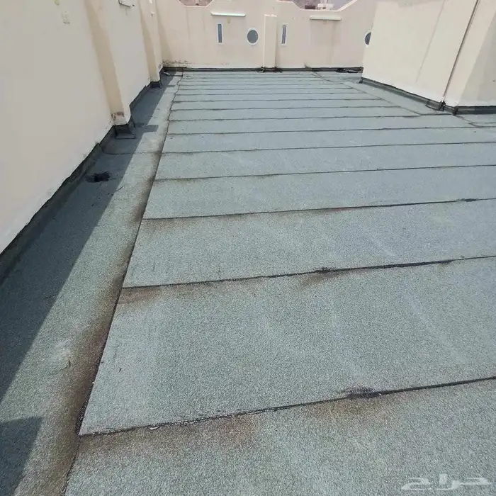 ابو علي معلم عوازل 0