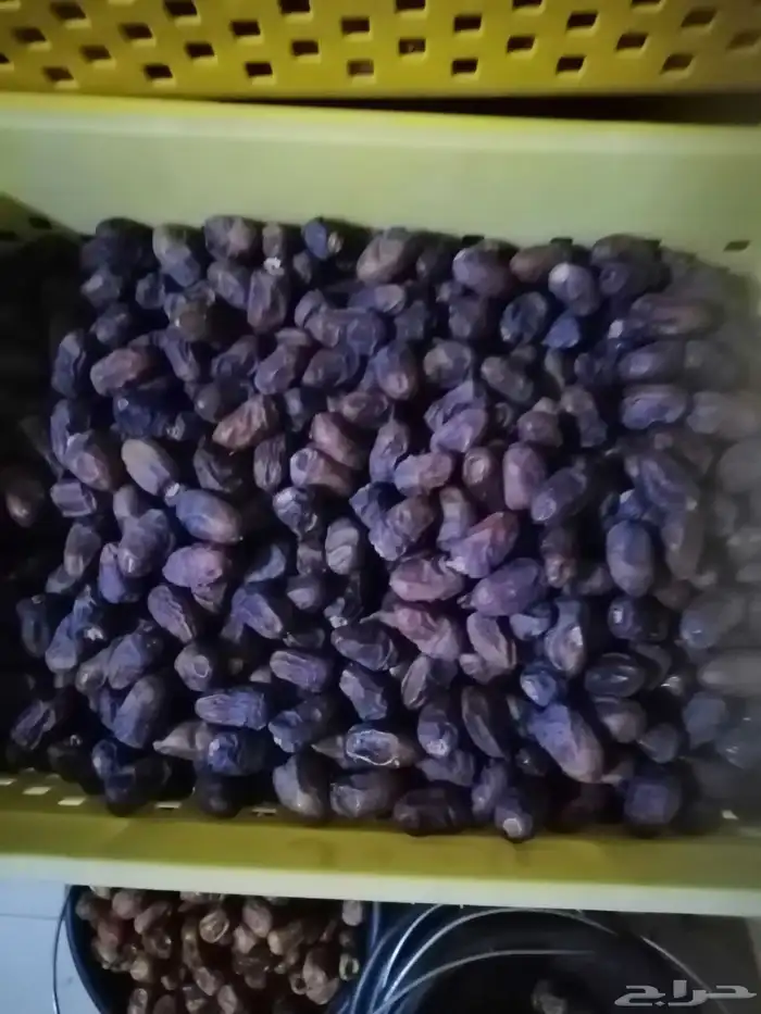 ضميد تمر فاخر سكري وونان وبرحي و خلاص وزن 3كيلو 6
