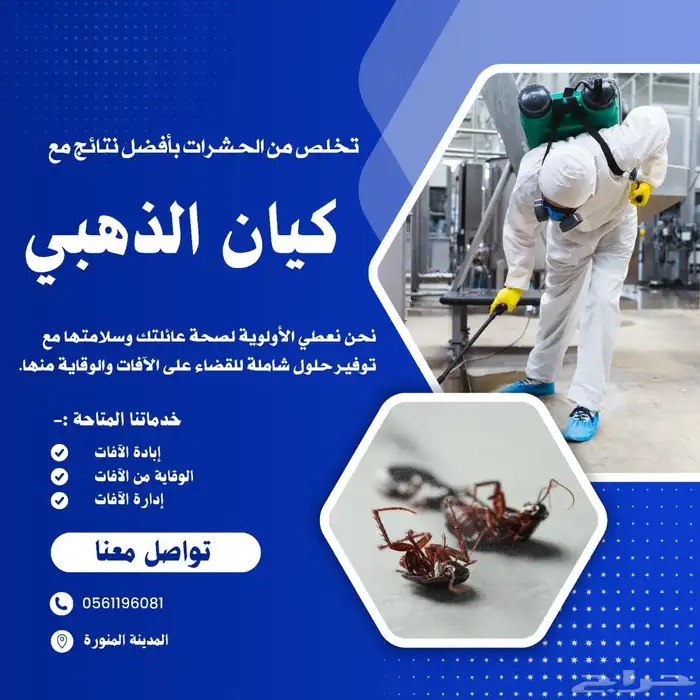 شركة مكافحة حشرات بالمدينة رش بق فراش النمل والصراصير والوزغ 2