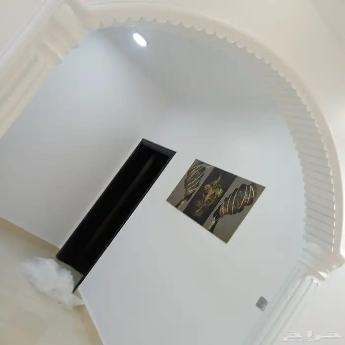 دهان الرياض 7