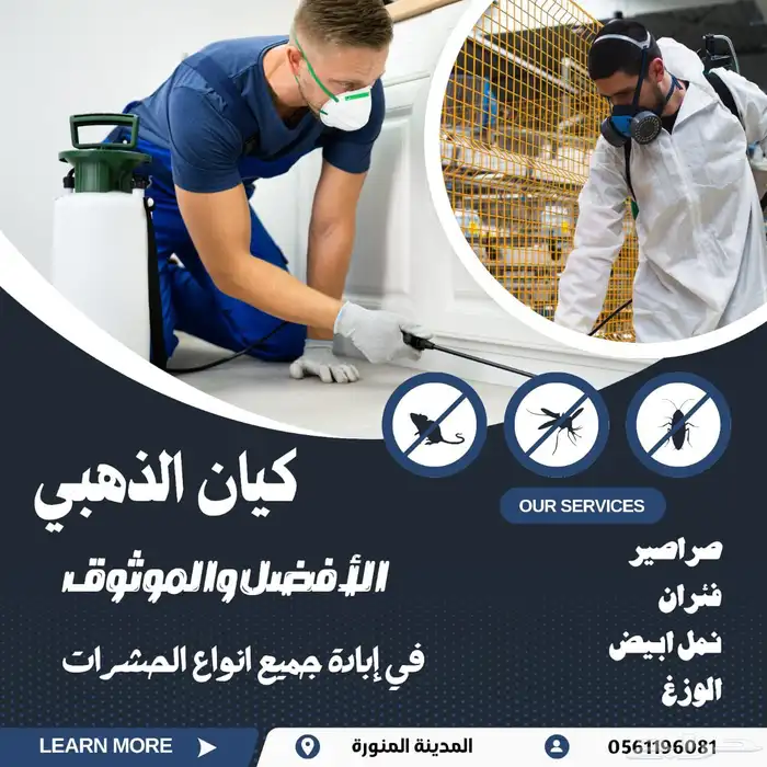 شركة مكافحة حشرات بالمدينة رش بق فراش النمل والصراصير والوزغ 1