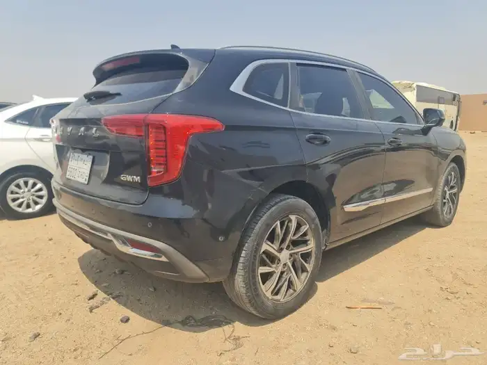 هافال جوليان 2021 9