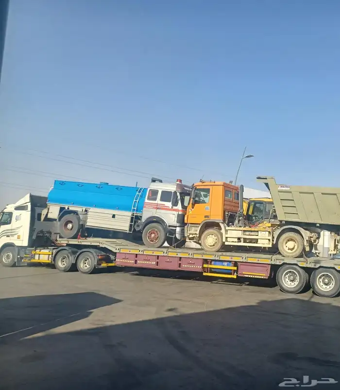 لوبد متواجد في القصيم بريده عنيزه المذنب الرس وماجاورها 0