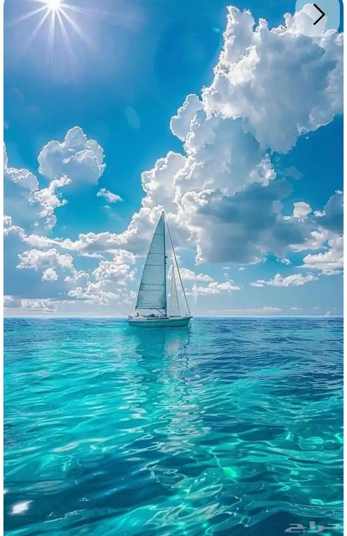 مطلوب خميس مشيط 0