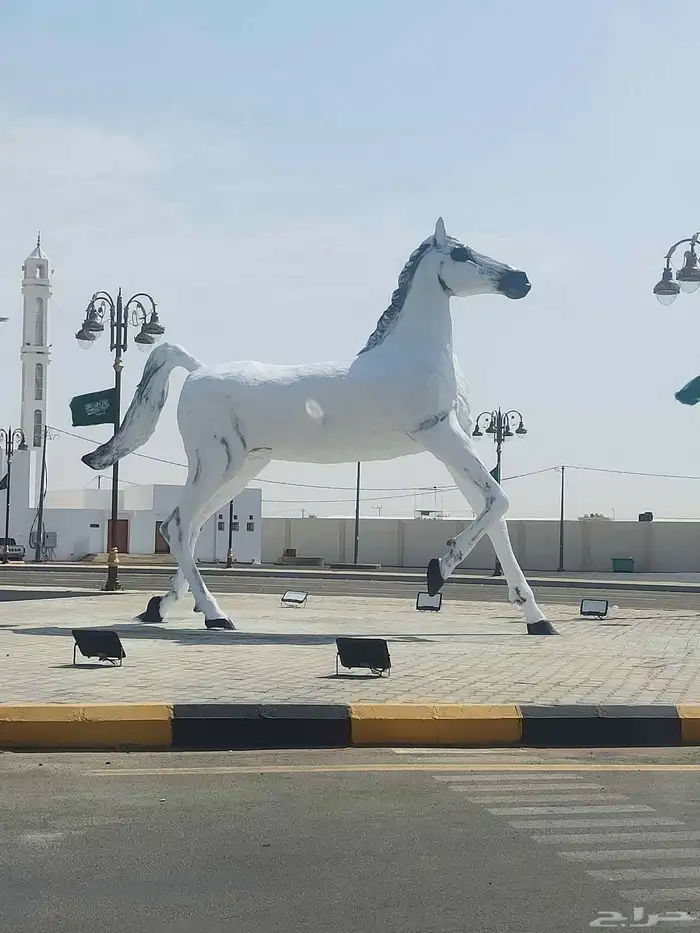 مجمسات ضخمه بكل الانواع 0